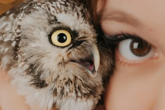 PlayFortuna Kasyno Wsparcie